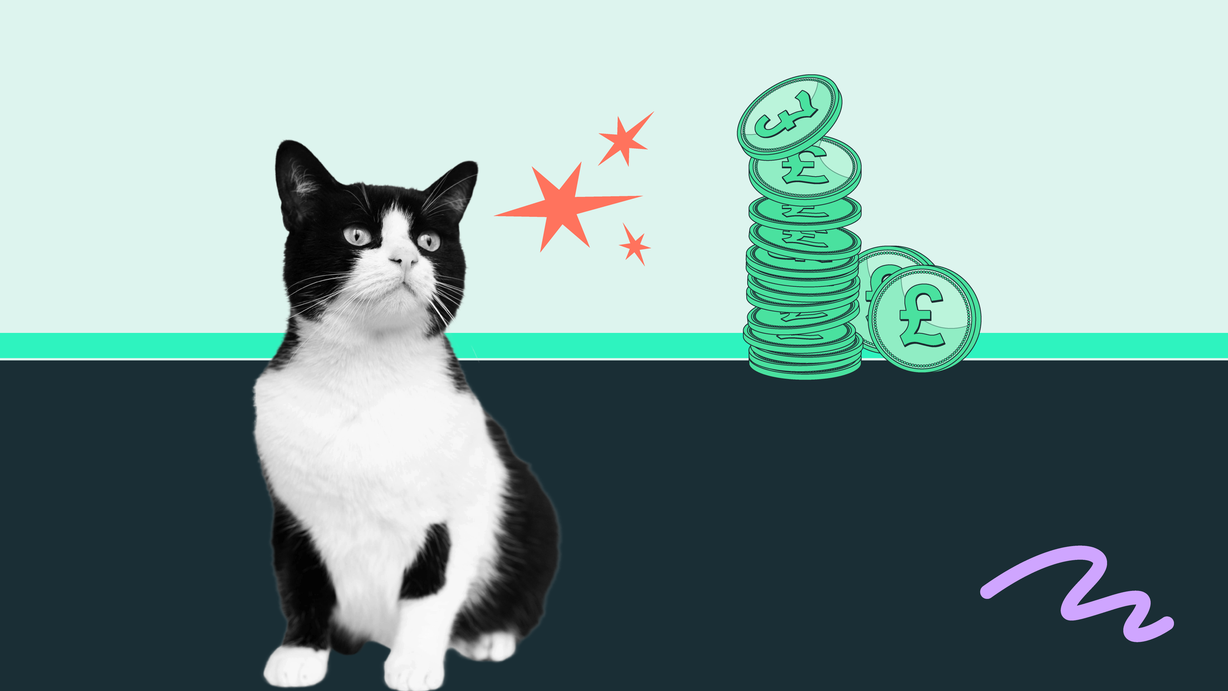 A cat stares at a pile of coins earned from a pet sitting side hustle